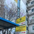 동탄시티동물의료센터 이미지