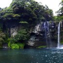 서문서로 이미지