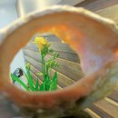 벧엘한의원 이미지