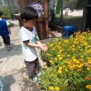 봄소풍 - 나비정원, 곤충박물관 이미지