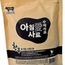 아침애 이미지