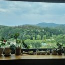 백두상가 이미지