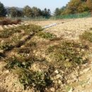 원주토지공인중개사사무소 이미지