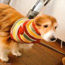 라이프스토리쇼핑 이미지