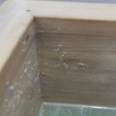 폴인럽 애견&고양이 미용 돌봄&호텔 이미지