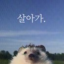 민서유통 - 창원시 의창구 | 우울해질까봐빵샀어