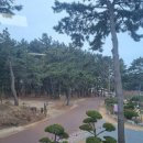 몽산해변펜션 이미지