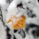 도시의 오후 이미지