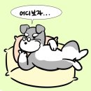 경성옥 이미지