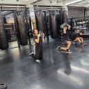 강화 용인대 복싱클럽 이미지