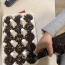 새밤농장 | 텃밭 일기 1 남양주 모종농장 다녀온 후기 (상추모종 추천)텃밭모종, 쌈채소모종, 3월에심는 모종