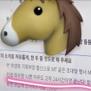 대지4리 야외운동기구 | 2026년 새해를 어떻게 보내고 있냐면요