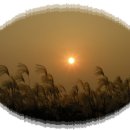 하늘공원 - 청송군 | 하늘공원