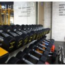 체인지바디 이미지