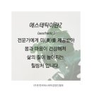 미(美)스파 이미지