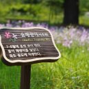 영남대학교자연박물관 이미지