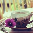 그루터기 이미지