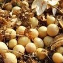 구름소리 이미지