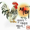 화 - 담양군 | 화