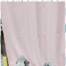 퍼피키티 이미지