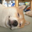 왕대박PC 이미지