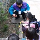 영평초등학교 이미지