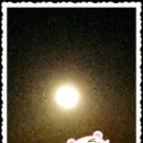 달달 무슨 달 이미지