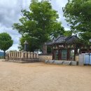 부사할매불고기 | 현지인 따라 다니는, 밀양 당일치기 풀코스 (밀양역-영남루-연리지-밀양읍성-홍릉불고기-밀양189-트윈터널)