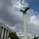 세븐일레븐수원아이파크시티점 | 미래엔 영어수학아이파크시티점 연세대학교 견학후기!!