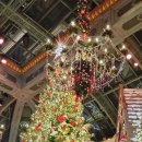 [서부] 나도바리스타A(2025) | [미국 서부 여행] 라스베가스 즐기기 / 스피어 뷰포인트 / 베네시안 호텔 / 벨라지오 호텔 보타닉가든