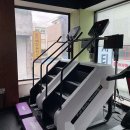 머슬시티 이미지