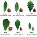 상천리보건진료소 이미지