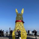 고령촌돼지찌개 이미지