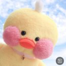 해율한의원 안산 여드름치료 후기, 중앙동 피부과 여기만 가야지..(이제 여드름 안올라옴!)