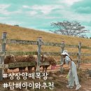 눈늪목장 | 남해 아이와 양떼목장에서 다양한 동물들과 만난후기(+예약방법)