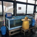 시민의발정비서비스(주) | 1박 2일간 다녀온 속초 카페 &amp; 음식점 리얼 후기~