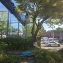 송파세무서 이미지