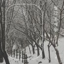 홍제동-1 이미지