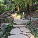 운이좋아 이미지