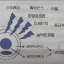 셀메드 수약국 이미지