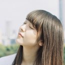 현 목장 이미지