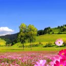 자연-이미지 이미지