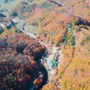 민주지산자연휴양림 이미지