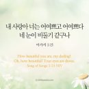 P-6711 네이버블로그
