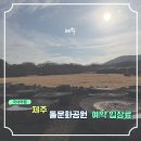 대천동 문화1 어린이공원 | 제주 돌문화공원 입장료 할인 소요시간 하늘연못 인생샷 꿀팁까지