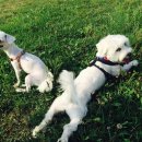 나들이 민박 이미지