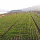 형제영농조합법인 이미지