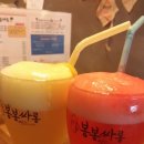 봉봉싸롱 이미지