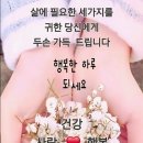행복한하루 이미지