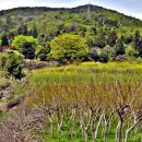 순천시립 공원묘지 이미지